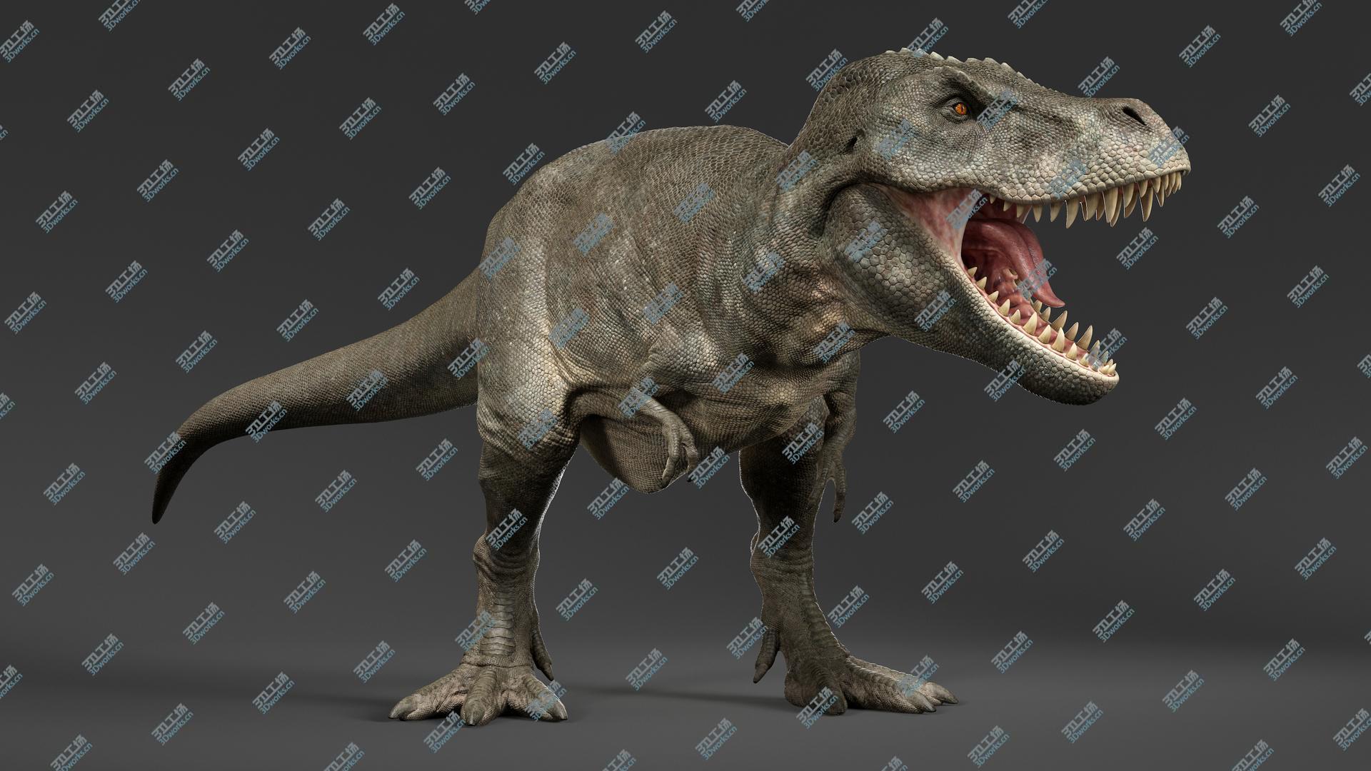 images/goods_img/20210319/3D Tyrannosaurus Rex Rigged/1.jpg
